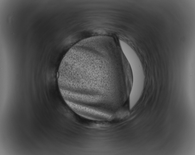 X0000086050466200704132000