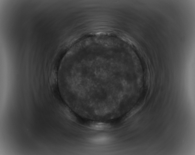 X0000086050467200704132000