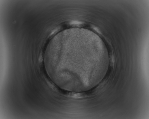X0000086050472200704132000