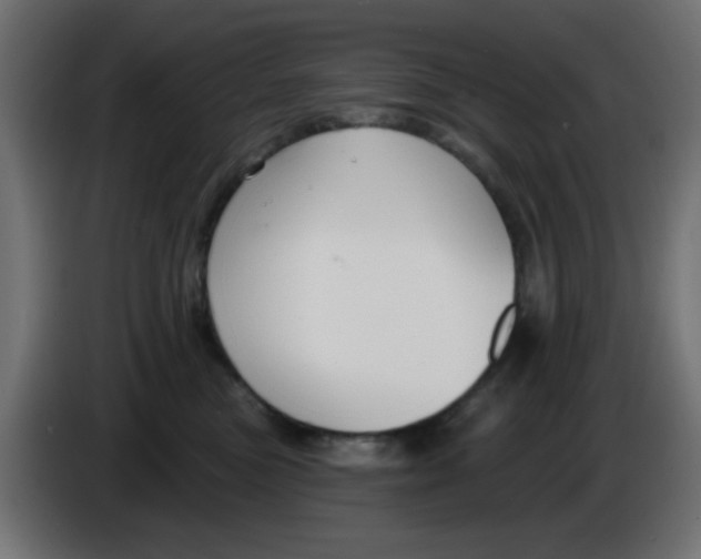 X0000086050473200704132000