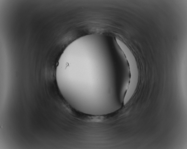 X0000086050474200704132000