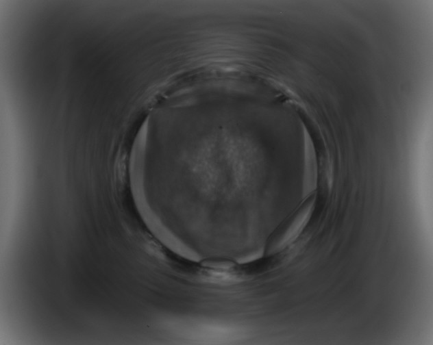 X0000086050475200704132000