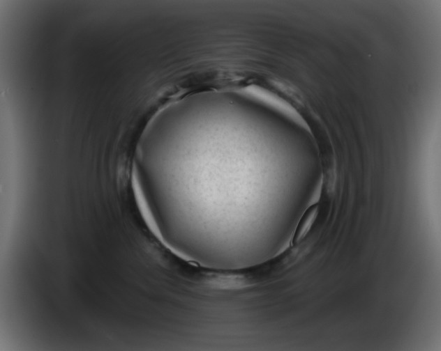 X0000086050476200704132000