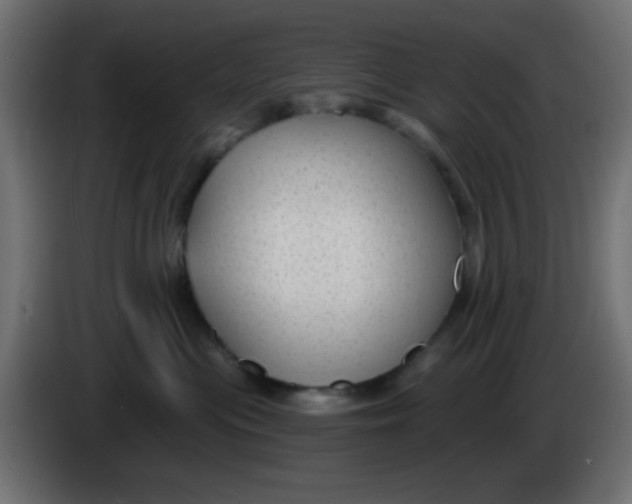 X0000086050477200704132000