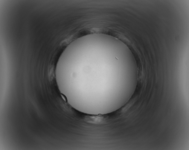 X0000086050478200704132000
