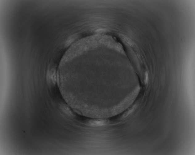 X0000086050479200704132000