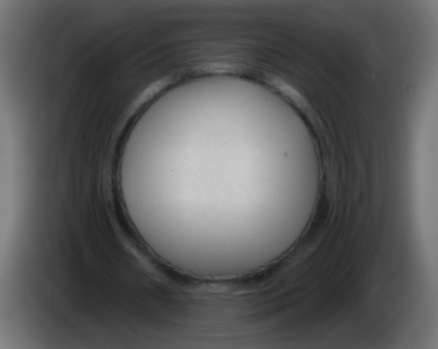 X0000086050482200704131959