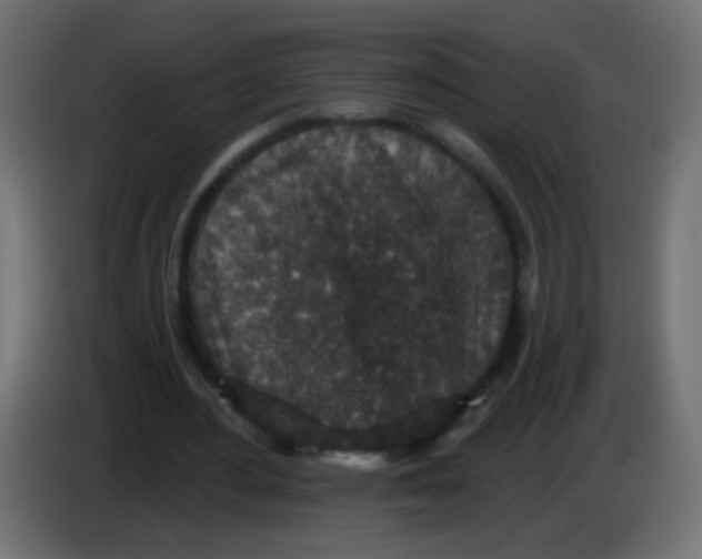X0000086050484200704131959