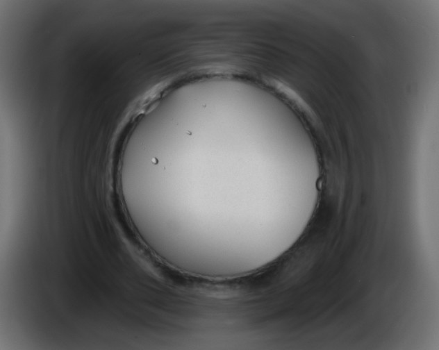 X0000086050486200704131959