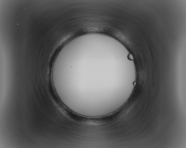 X0000086050490200704131959