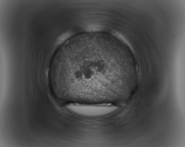 X0000086050491200704131959