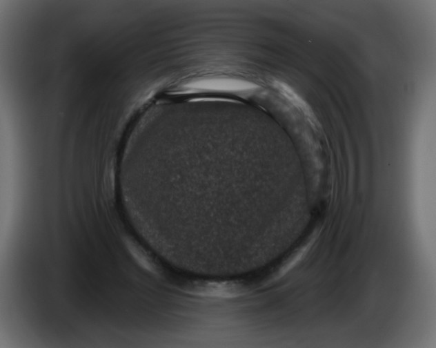 X0000086050493200704131959