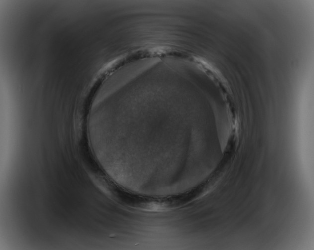 X0000086050496200704131959