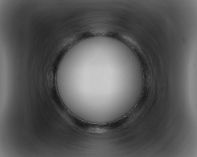 X0000086050498200704131959
