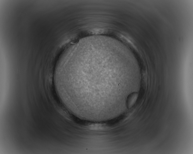 X0000086050499200704131959