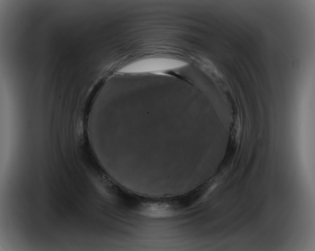 X0000086050500200704131959