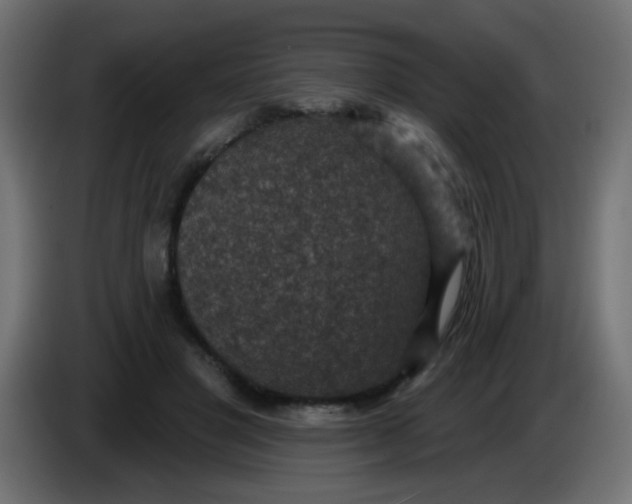 X0000086050501200704131959