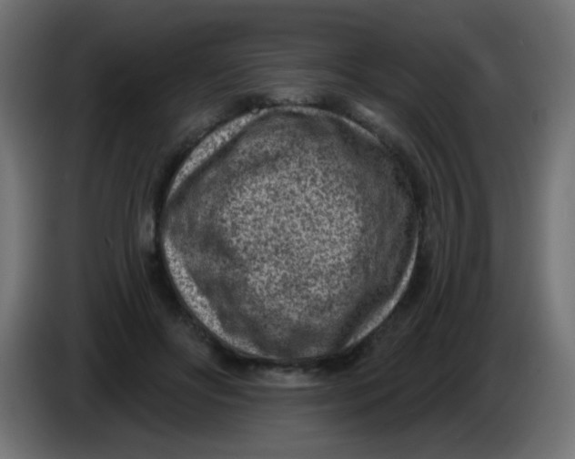 X0000086050502200704131959