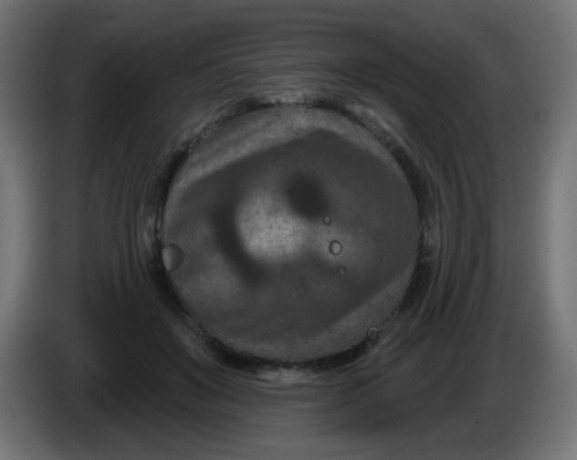 X0000086050503200704131959