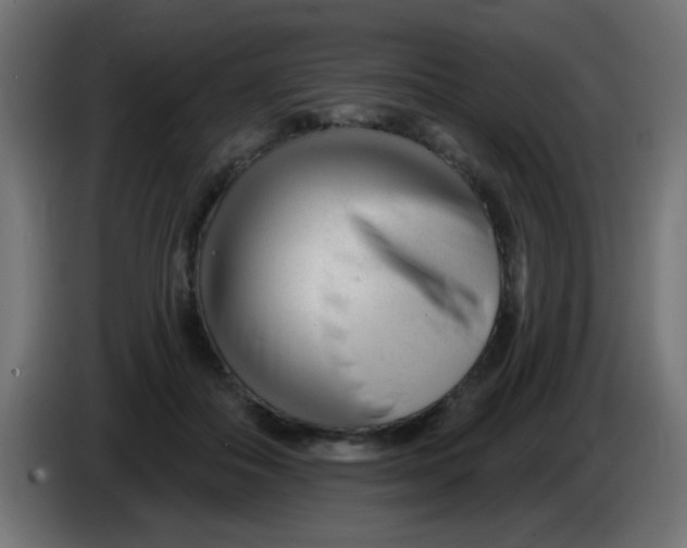 X0000086050506200704131959