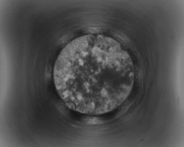 X0000086050507200704131959