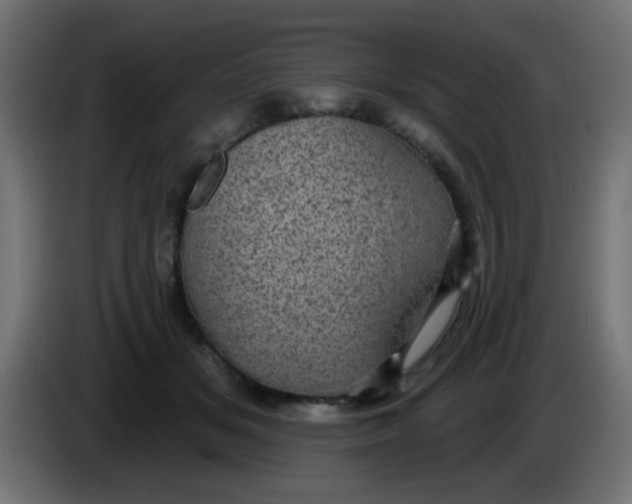 X0000086050509200704131959