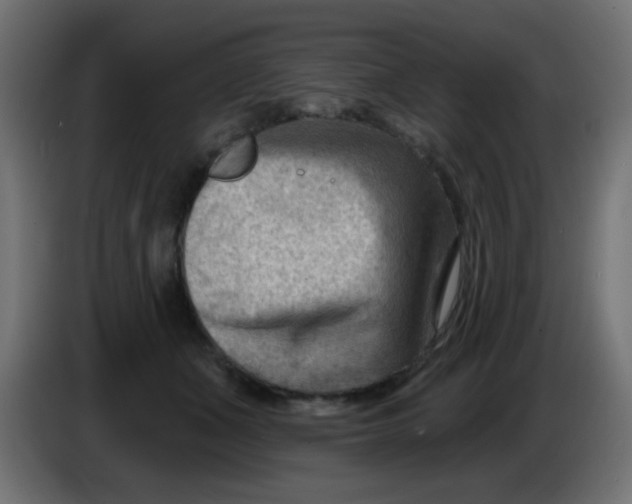 X0000086050511200704131959