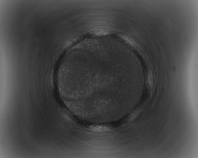 X0000086050512200704131959
