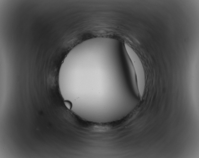 X0000086050515200704131959