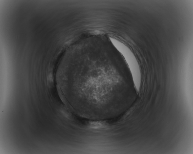 X0000086050516200704131959