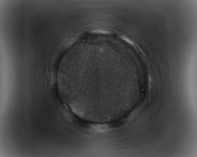 X0000086050517200704131959