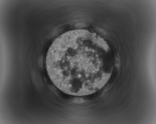 X0000086050519200704131959