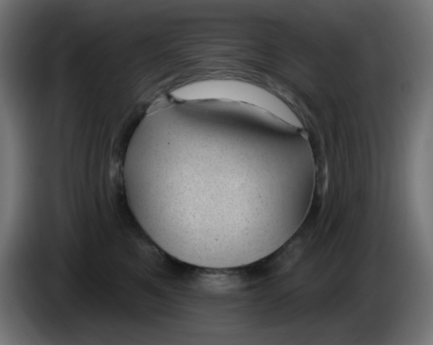 X0000086050521200704131959