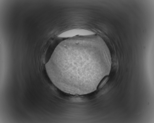 X0000086050523200704131959