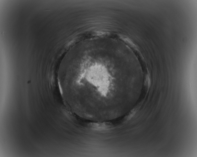 X0000086050524200704131959
