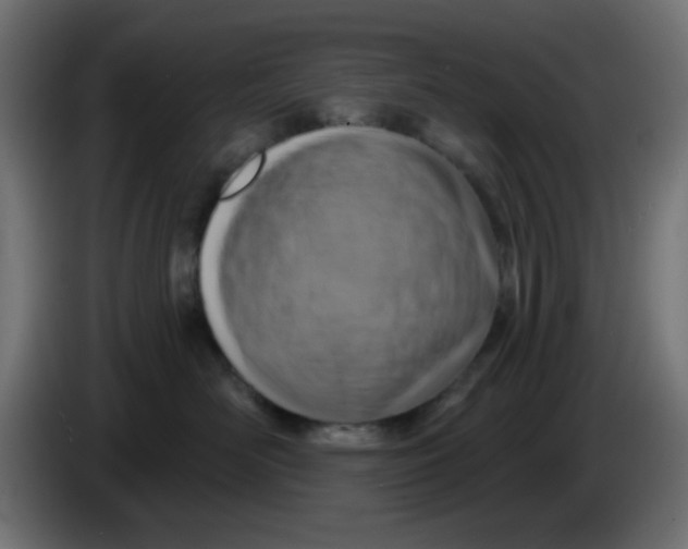 X0000086050526200704131959