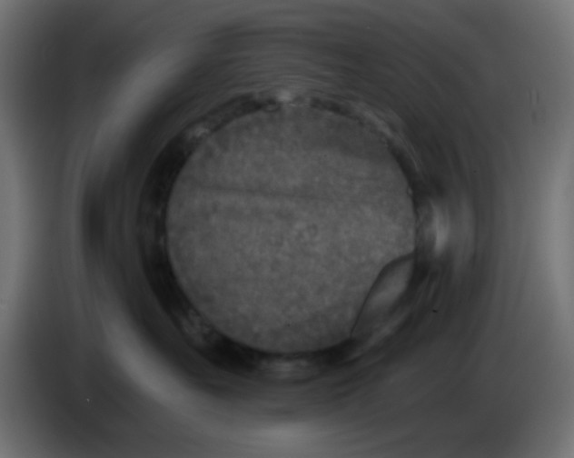 X0000086050527200704131959