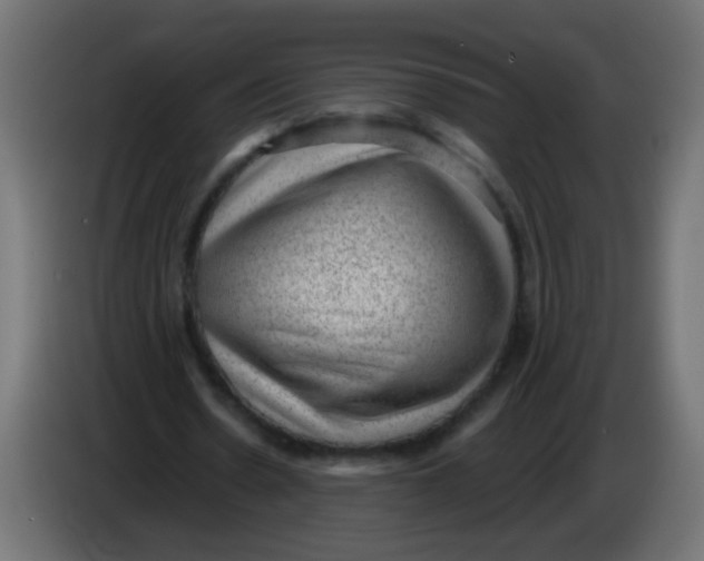 X0000086050530200704131958