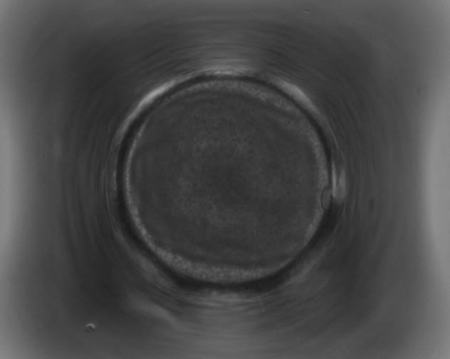 X0000086050531200704131958