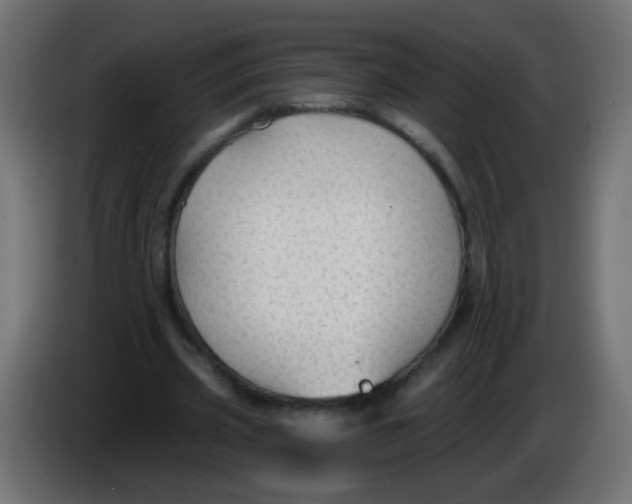 X0000086050533200704131958