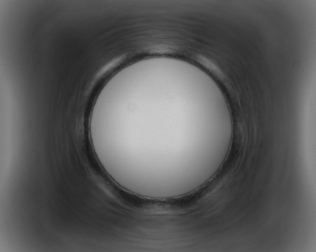 X0000086050535200704131958