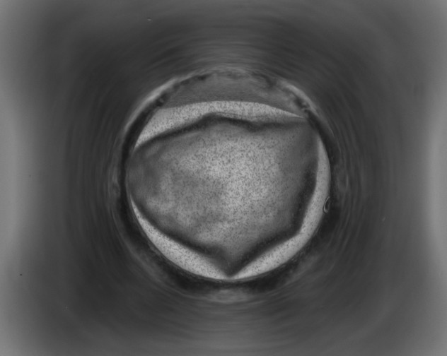 X0000086050536200704131958