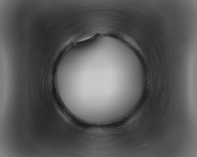 X0000086050538200704131958