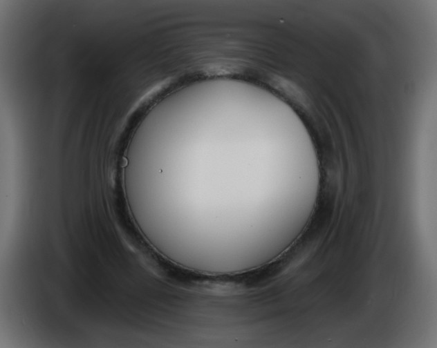 X0000086050539200704131958