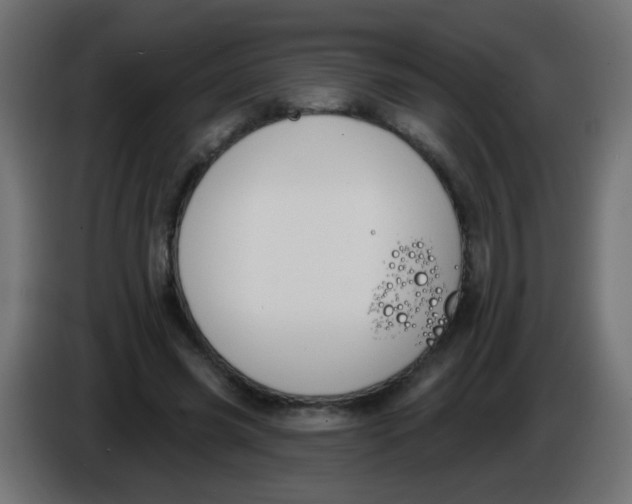 X0000086050541200704131958