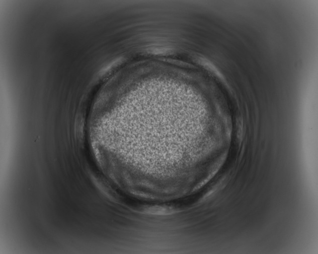 X0000086050542200704131958