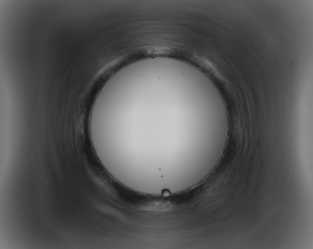 X0000086050543200704131958