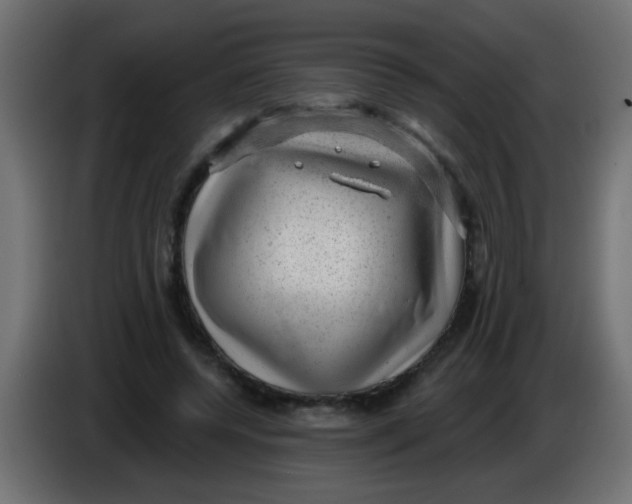 X0000086050544200704131958