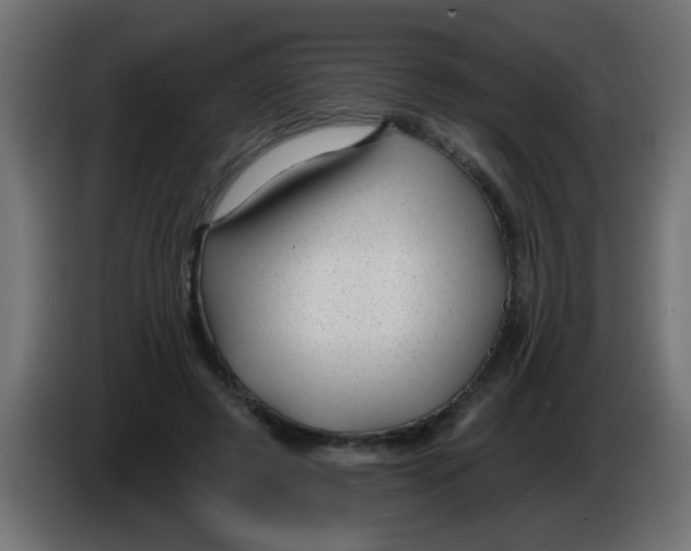 X0000086050545200704131958