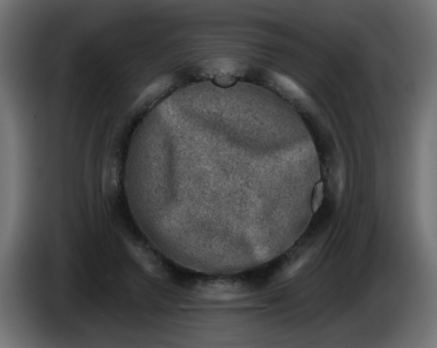 X0000086050546200704131958